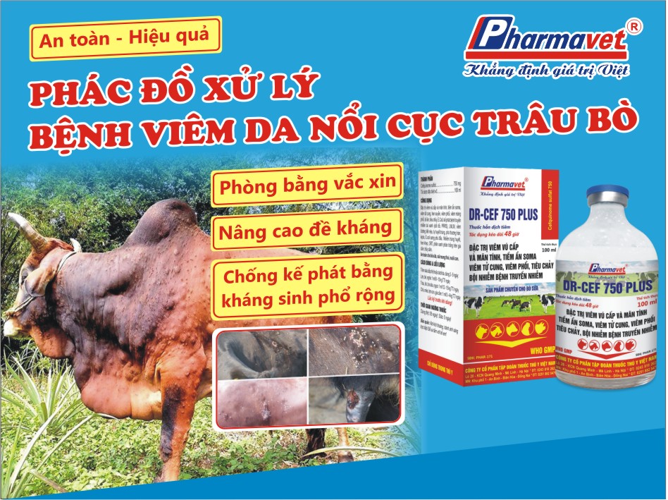 1. Giới Thiệu Chung Về Viêm Da Nổi Cục