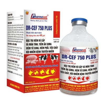 DR - Cef 750 Plus-en