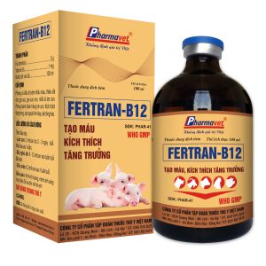FERTRAN-B12