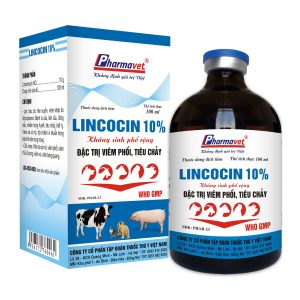 LINCOCIN 10%