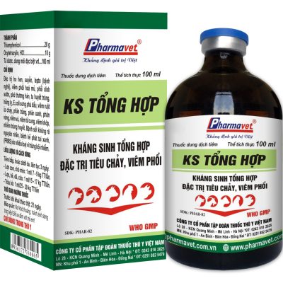 KS TỔNG HỢP