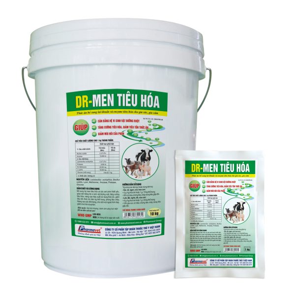 DR-MEN TIÊU HÓA