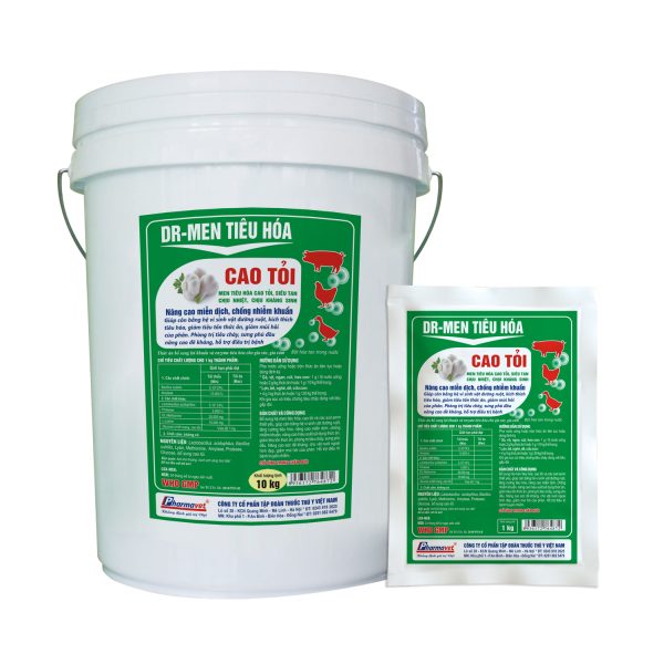 DR-MEN TIÊU HÓA (CAO TỎI)
