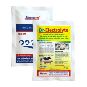DR-ELECTROLYTE