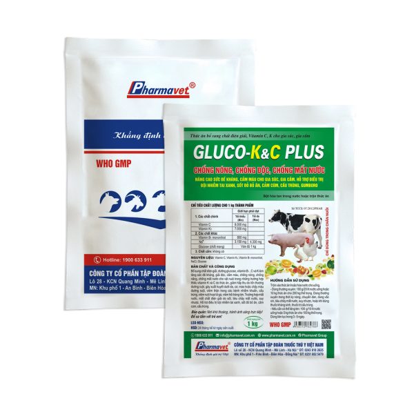 GLUCO-K&C PLUS
