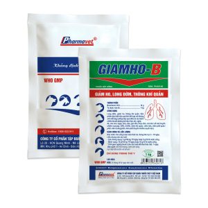 GIAMHO-B