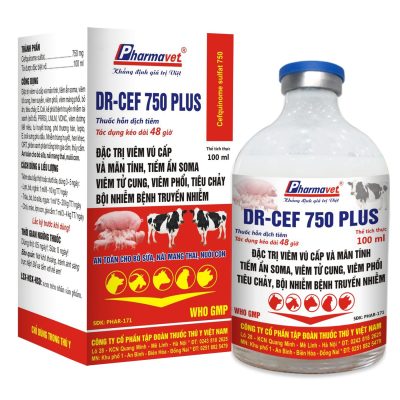 DR-CEF 750 PLUS