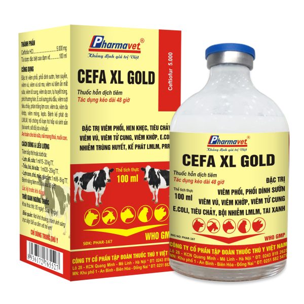 CEFA XL.GOLD
