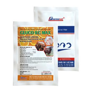GLUCO KC MAX